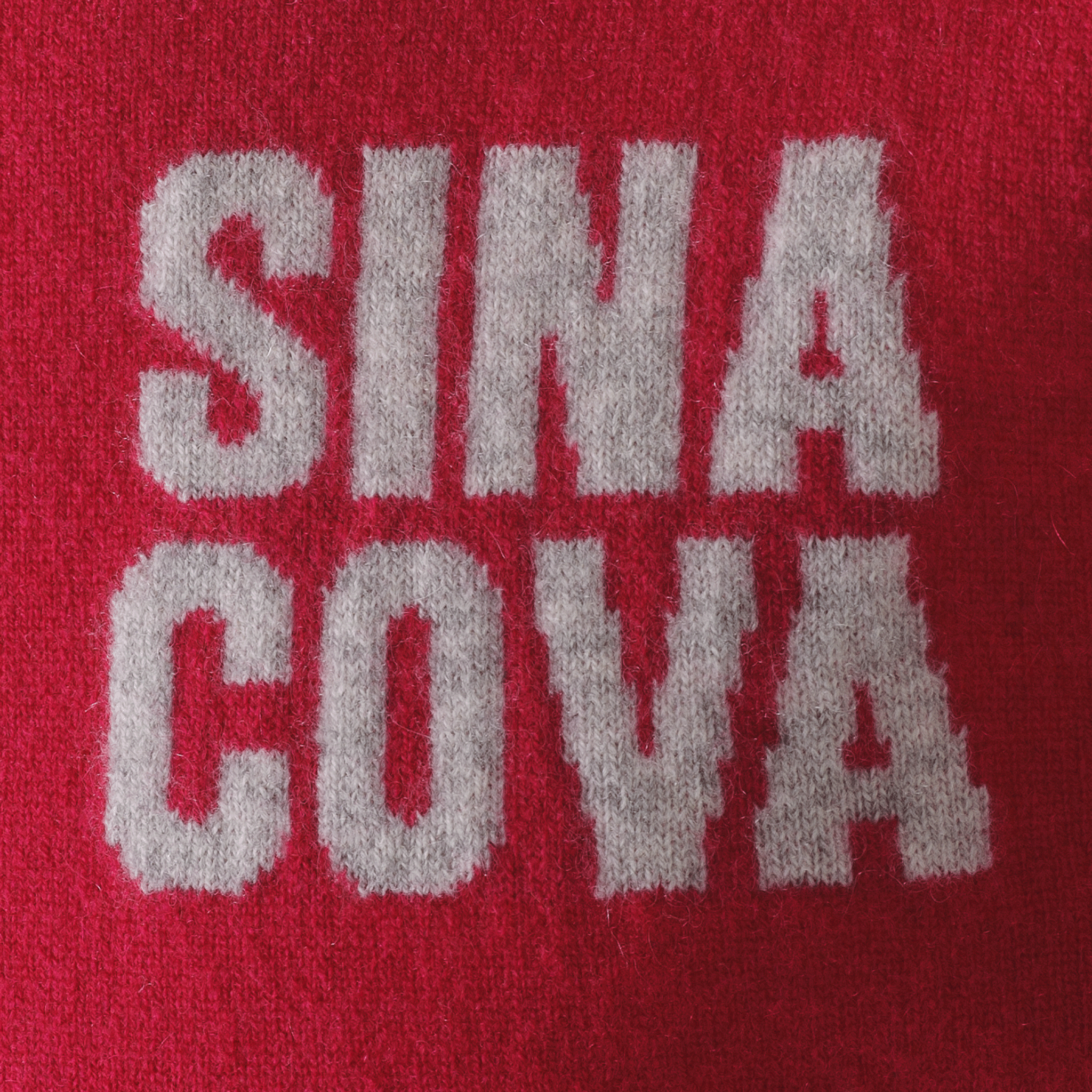 【公式】シナコバ (SINA COVA) クルーネックセーター カシミヤ100% 23252010