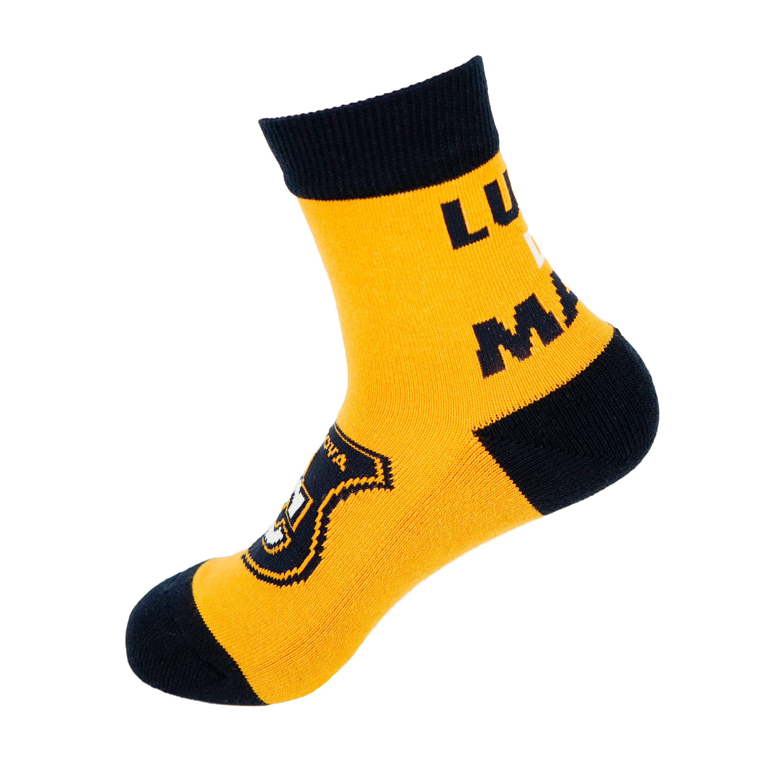 ソックス 23277430