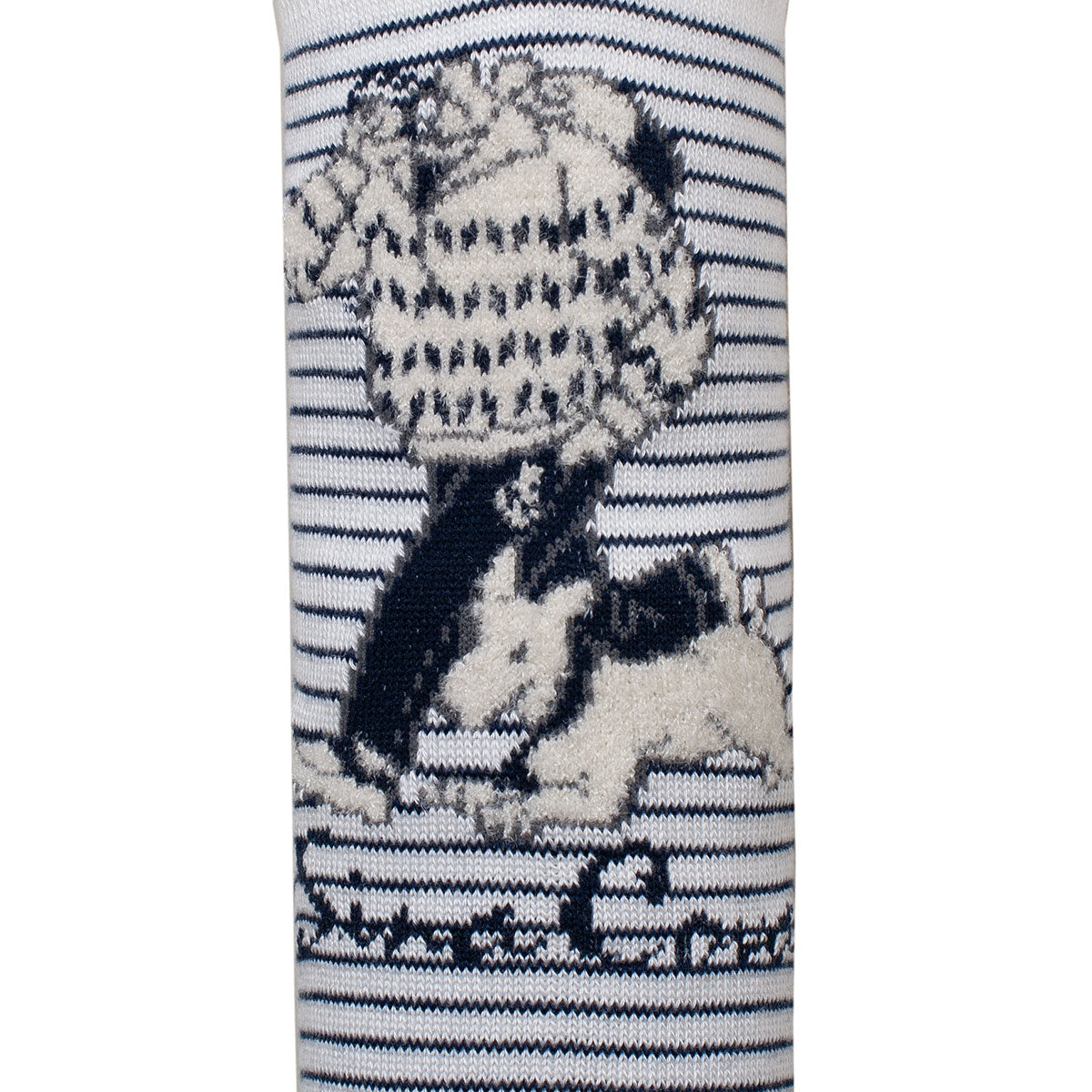 シナコバ(SINA COVA)スモールソックス (23~25cm) 19278403