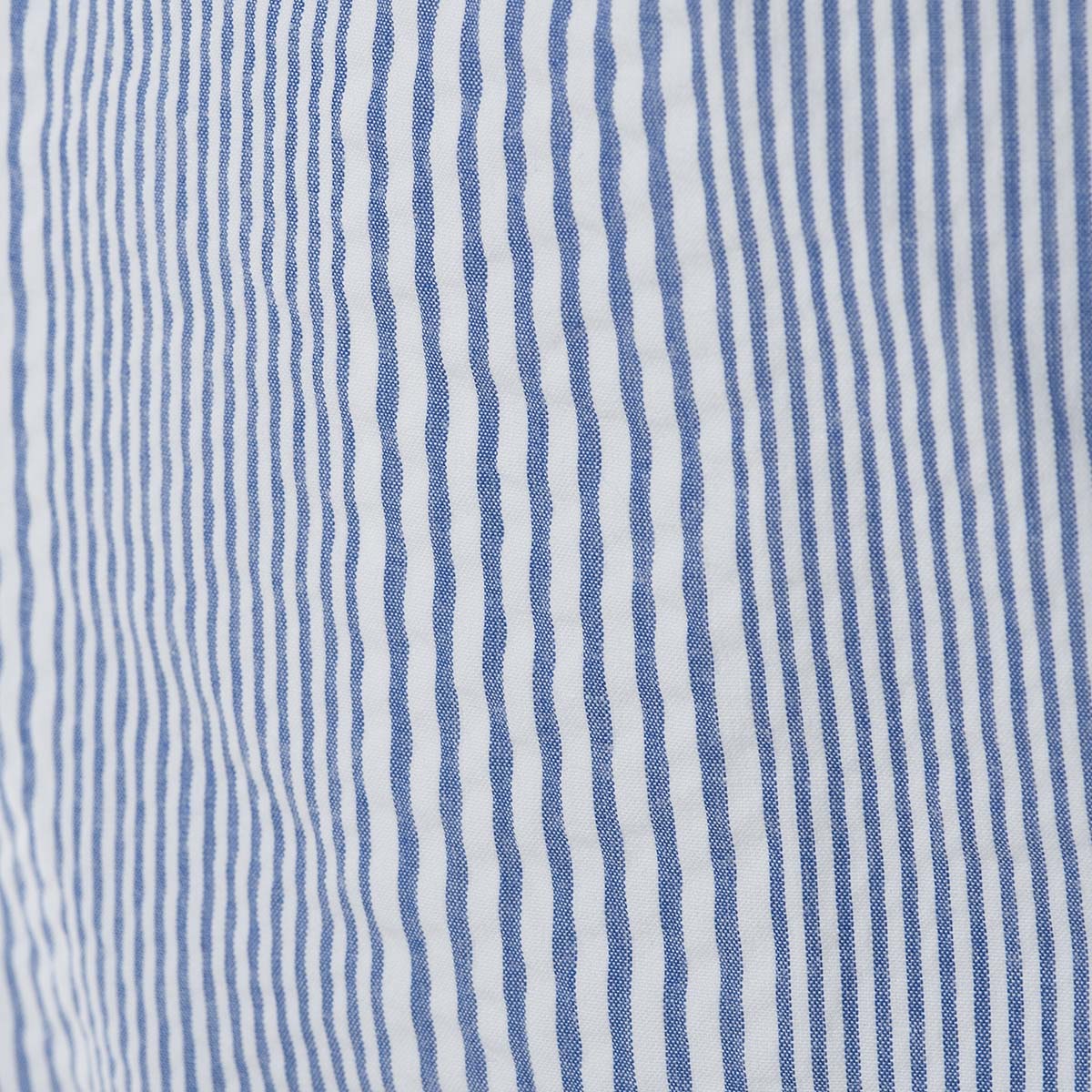 【アウトレット】【公式】シナコバ （SINA COVA） 半袖 ボタンダウンシャツ 20124633